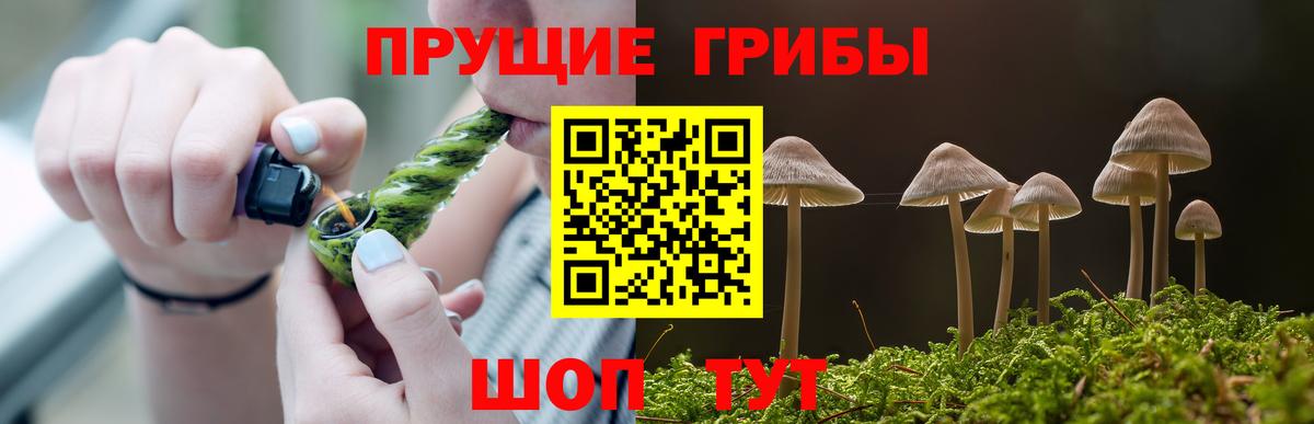 даркнет сайт  Псилоцибиновые грибы Magic Shrooms  Вход с VPN  Гагарин 